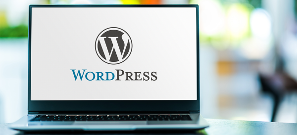 WordPress Nedir? Dünyanın En Popüler Web Sitesi Platformu
